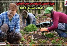 فيزا العمل التطوعي في ألمانيا 2026